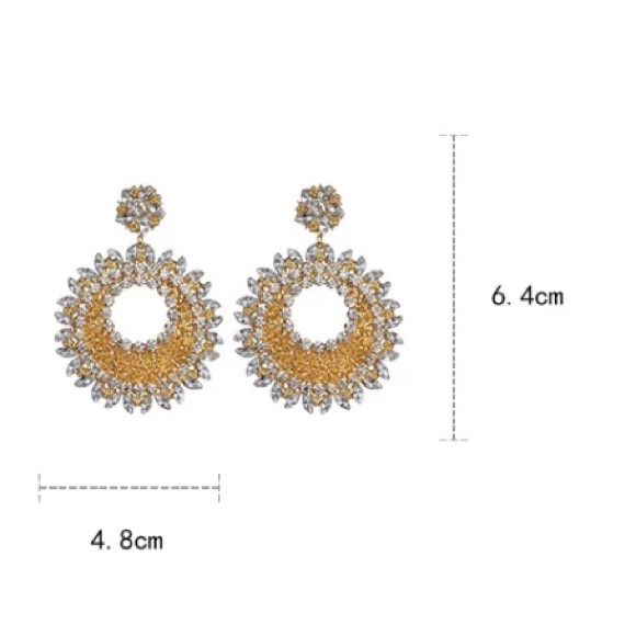 Big Oversized Round Earrings - Picture 3 of 4